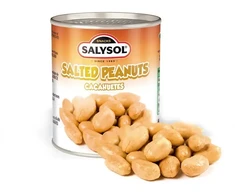 Zemesrieksti sālīti SALYSOL, 60g