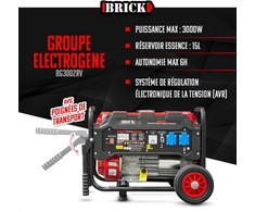 Generatorius su ratukais Brick, 3000 W