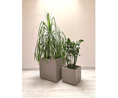 Vazonas "Kvarcas" su vandens rezervuaru ir ratukais, 49 cm