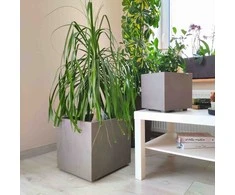Vazonas "Kvarcas" su vandens rezervuaru, 39 cm