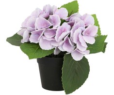 Home4You Dirbtinė gėlė GARDEN H18cm, violetinė hortenzija su vazonu