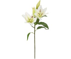 Home4You Dirbtinė gėlė GARDEN H75cm, balta lelija