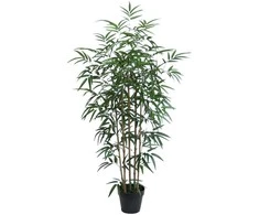Bamboo Dirbtinė eglutė VĖJO BAMBUKAS A130cm