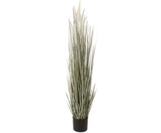 Home4You Dirbtinis augalas GREENLANDA H120cm vazone