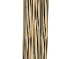 Home4You Bamboo Bambuko lazdos SODE H120cm 20vnt/komplektas D8/10mm