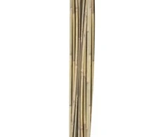 Home4You Bamboo Bambuko lazdos SODE H150cm 10vnt/komplektas D10/12mm