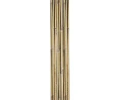 Home4You Bamboo Bambuko lazdos SODE H180cm 10vnt/komplektas D12/14mm