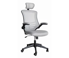 Biuro kėdė RAGUSA, 66,5xD51xH117-126cm, sėdimoji ir atraminė dalys: medžiaginis tinklelis, spalva: pilka