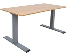 Rašomasis stalas ERGO OPTIMAL su 2 varikliais 140x70 cm, Spalva: karijų