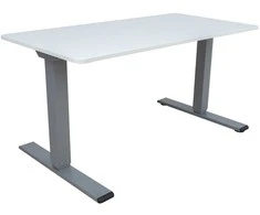 Rašomasis stalas ERGO OPTIMAL su 2 varikliais, 160x80 cm, Spalva: pilkšvai balta