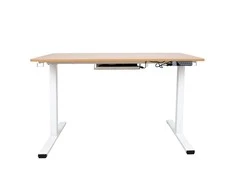Rašomasis stalas ERGO su 1 varikliu, 120x60xH73-121cm, Spalva: balta/ąžuolas