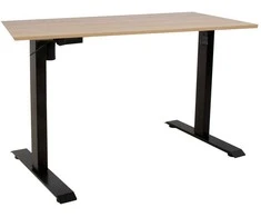 Rašomasis stalas ERGO su 1 varikliu, 160x80 cm, Spalva: karijų/juoda