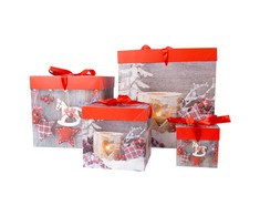 Dovanų dėžutė XMAS GIFT-4, 30x30x30cm, mišinys