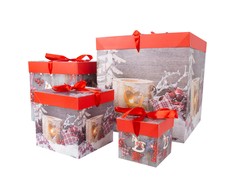 Dovanų dėžutė XMAS GIFT-4, 30x30x30cm, mišinys