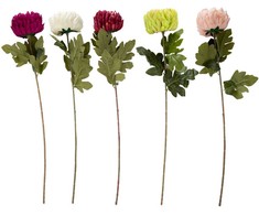 Home4You Dirbtinė gėlė FLOWERLY H74cm, chrizantema