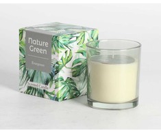 Home4You Žvakė NATURE Žalias H9.5cm, Evergreen