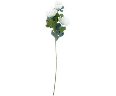 Home4You Dirbtinė gėlė „FLOWERLY“, aukštis 67 cm, balta, „Mimosa“