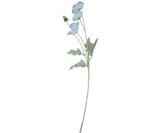 Dirbtinė gėlė FLOWERLY „Aguona“, rinkinys