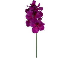 Home4You Orchidėja ŽIEDAS H60cm, mišinys