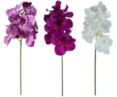 Home4You Orchidėja ŽIEDAS H60cm, mišinys