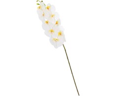 Orchidėja SODYBAI H92cm, baltas falenopsis