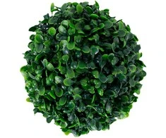 Home4You Kamuolys BUXUS GREENLAND D52cm, žalias