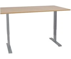 Rašomasis stalas ERGO su 2 varikliais, 160x80 cm, Spalva: karijų
