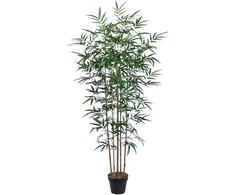 Home4you Žalias augalas BAMBOO, aukštis 150 cm