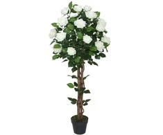 Home4You Žalias augalas ROSE TREE, aukštis 120 cm, 2 stiebai, juodas vazonas