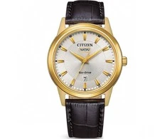 Laikrodis Citizen „Eco-Drive“ AW0102-13AC