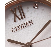 Laikrodis Citizen Eco-Drive EM0506-77A