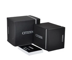 Laikrodis Citizen EU6090-54H