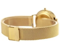 Laikrodis Bisset Maggiore BSBF32