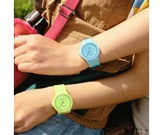 Laikrodis Casio LQ-24B-2BEF