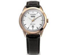 Laikrodis Citizen Eco-Drive AW0153-04AC
