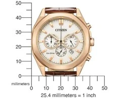 Laikrodis Citizen Eco-Drive CA4593-15A