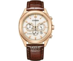 Laikrodis Citizen Eco-Drive CA4593-15A