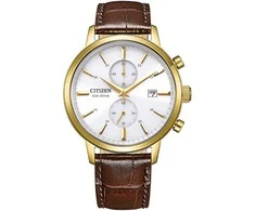 Laikrodis Citizen Eco-Drive CA7062-15A