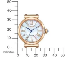 Laikrodis Citizen Eco-Drive EM1063-89D