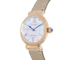 Laikrodis Citizen Eco-Drive EM1073-18D
