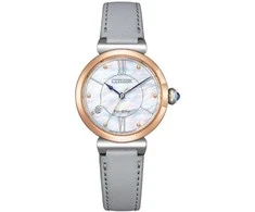 Laikrodis Citizen Eco-Drive EM1074-15D