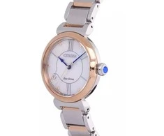 Laikrodis Citizen Eco-Drive EM1074-82D