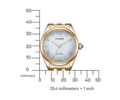 Laikrodis Citizen Eco-Drive EM1143-81X
