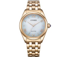 Laikrodis Citizen Eco-Drive EM1143-81X
