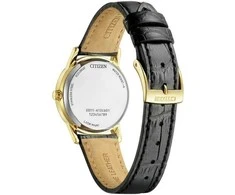 Laikrodis Citizen Eco-Drive EW2722-01A