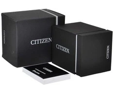 Laikrodis Citizen EL3100-55W