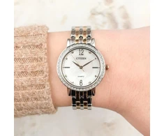 Laikrodis Citizen EL3106-59D