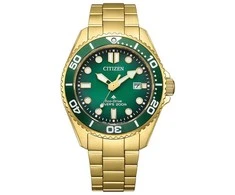 Laikrodis Citizen Promaster Marine Eco-Drive BN0262-59W