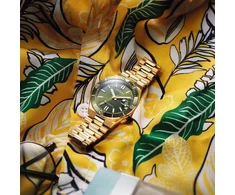 Laikrodis Citizen Tsuyosa Automatic NJ0232-53X
