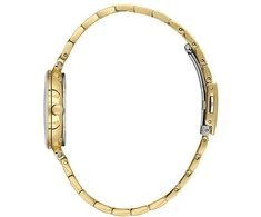 Laikrodis Daniel Klein DK.1.14175-3